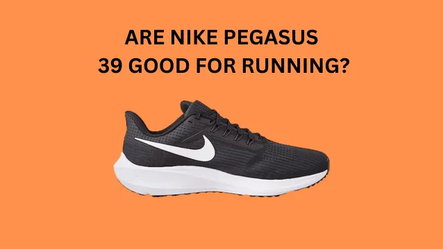 ARE NIKE PEGASUS 39 GOOD FOR RUNNING