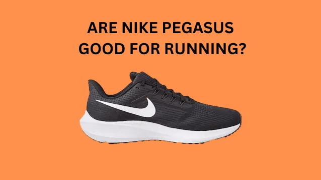 Are Nike Pegasus Good for Running